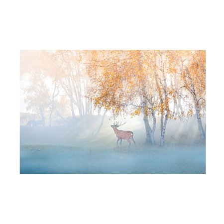 TRADEMARK FINE ART Simoon  'Elk Lost In Mist' Canvas Art, 22x32 1X14005-C2232GG